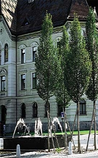 Künstlerische Begleitplanung Zentrumsumfahrung Vaduz FL, Kreisel Regierungsgebäude