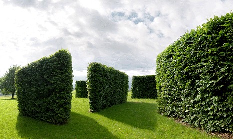 <span class="profiletext1">Privatgarten, Althäusern, Aristau, 2000 (Foto: Bernhard Kägi)</span>