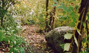 Schulhaus Ahornstrasse, Zürich, 2001