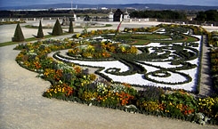 Broderieparterre Schloss Hof, 2005