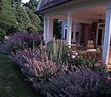 Summer Porch Garden, East Hampton, NY